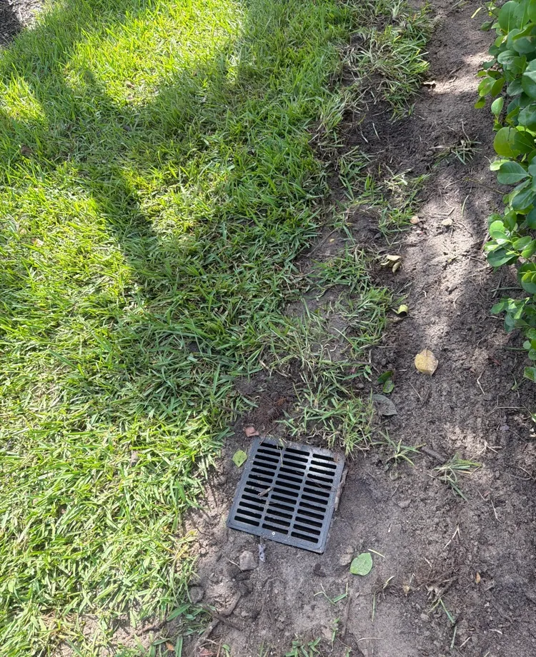 Catch basin grate at the edge of a landscape bed after an underground drain install in Fort Myers, FL