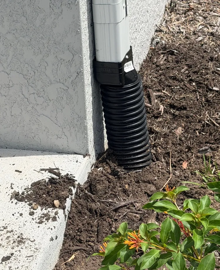 White downspout connected to black corrugated underground drain pipe at a home in Lehigh Acres, FL