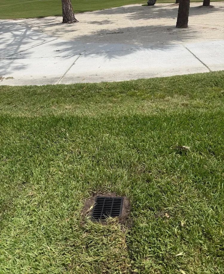 Finished drain grate sitting flush in a green lawn after backfill in Lehigh Acres, FL