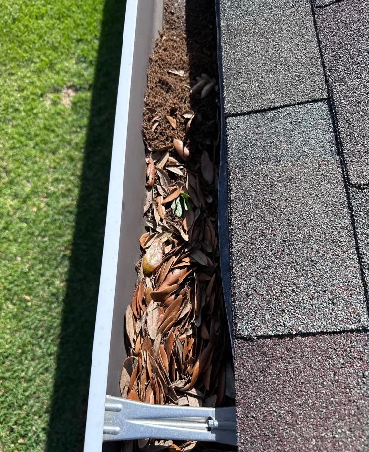 Gutter clogged with oak leaves before cleaning in Fort Myers, FL